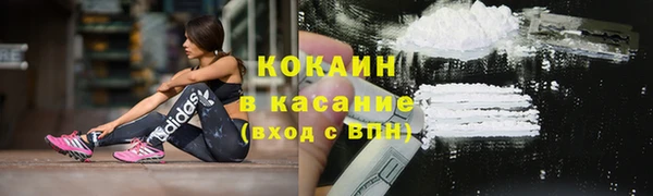 бошки Аркадак