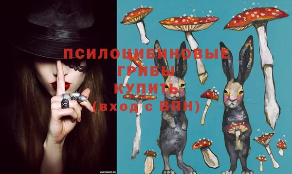 mix Арсеньев