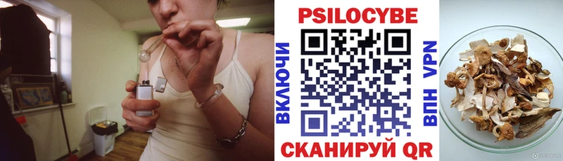 Псилоцибиновые грибы Cubensis  Макарьев 
